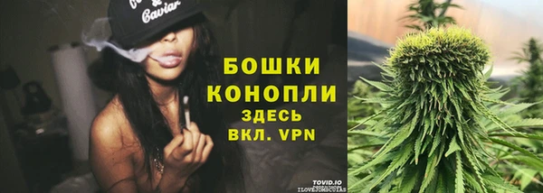 прущие крисы Медногорск