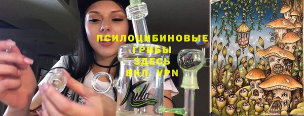 прущие крисы Медногорск