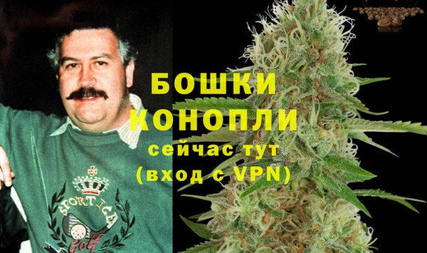тгк Мегион